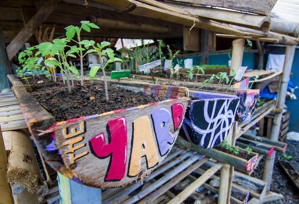 Farmer'S Yard Hostel 坎古 外观 照片